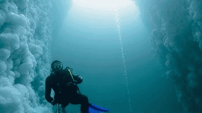 Free Diving Under Ice: The Mental Battle Against Claustrophobia and Hypothermia