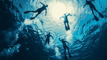 Sharing the Love for Diving: Building Community and Connections Through the Sport