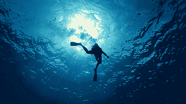 Sharing the Love for Diving: Building Community and Connections Through the Sport